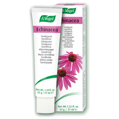 A Vogel Echinacea Toothpaste