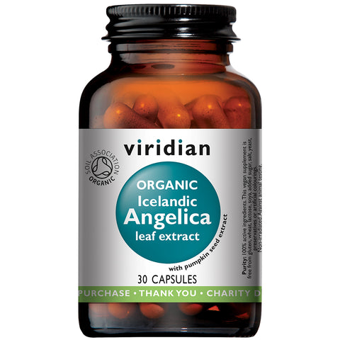 Organic Islandeg Angelica Est